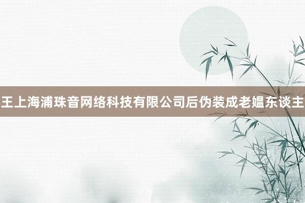 王上海浦珠音网络科技有限公司后伪装成老媪东谈主